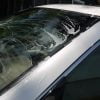 Clay bar use on car windshield to remove remaining tree sap haze after removal with alcohol.