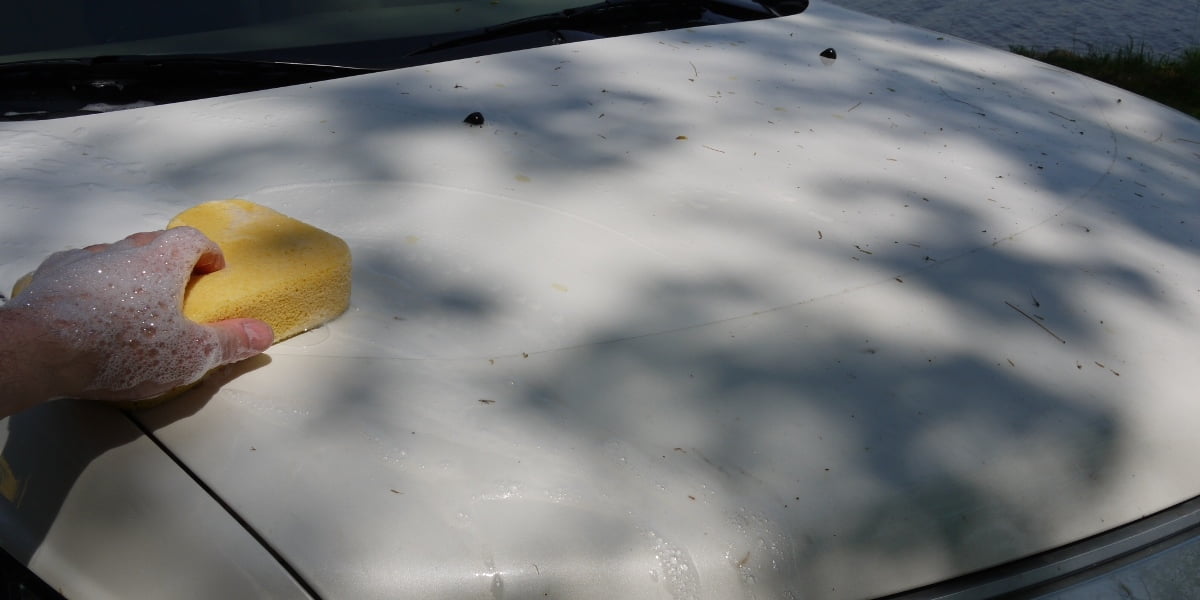 Remove tree sap from car using two step process of denatured alcohol followed by a detailing clay bar.