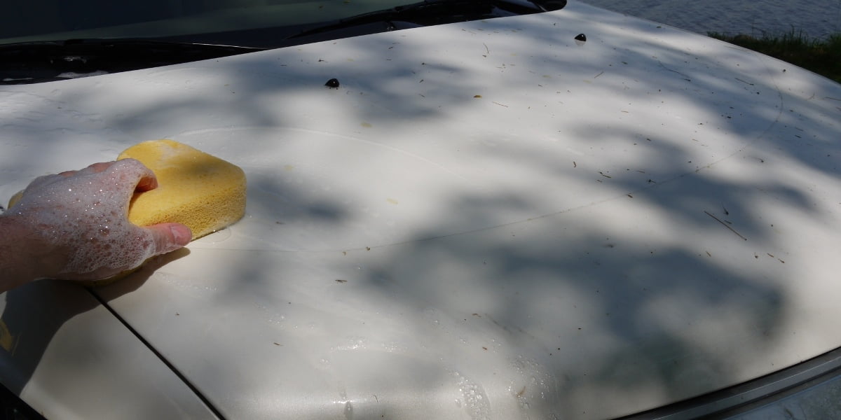 Best Way To Remove Tree Sap From Your Car Safely