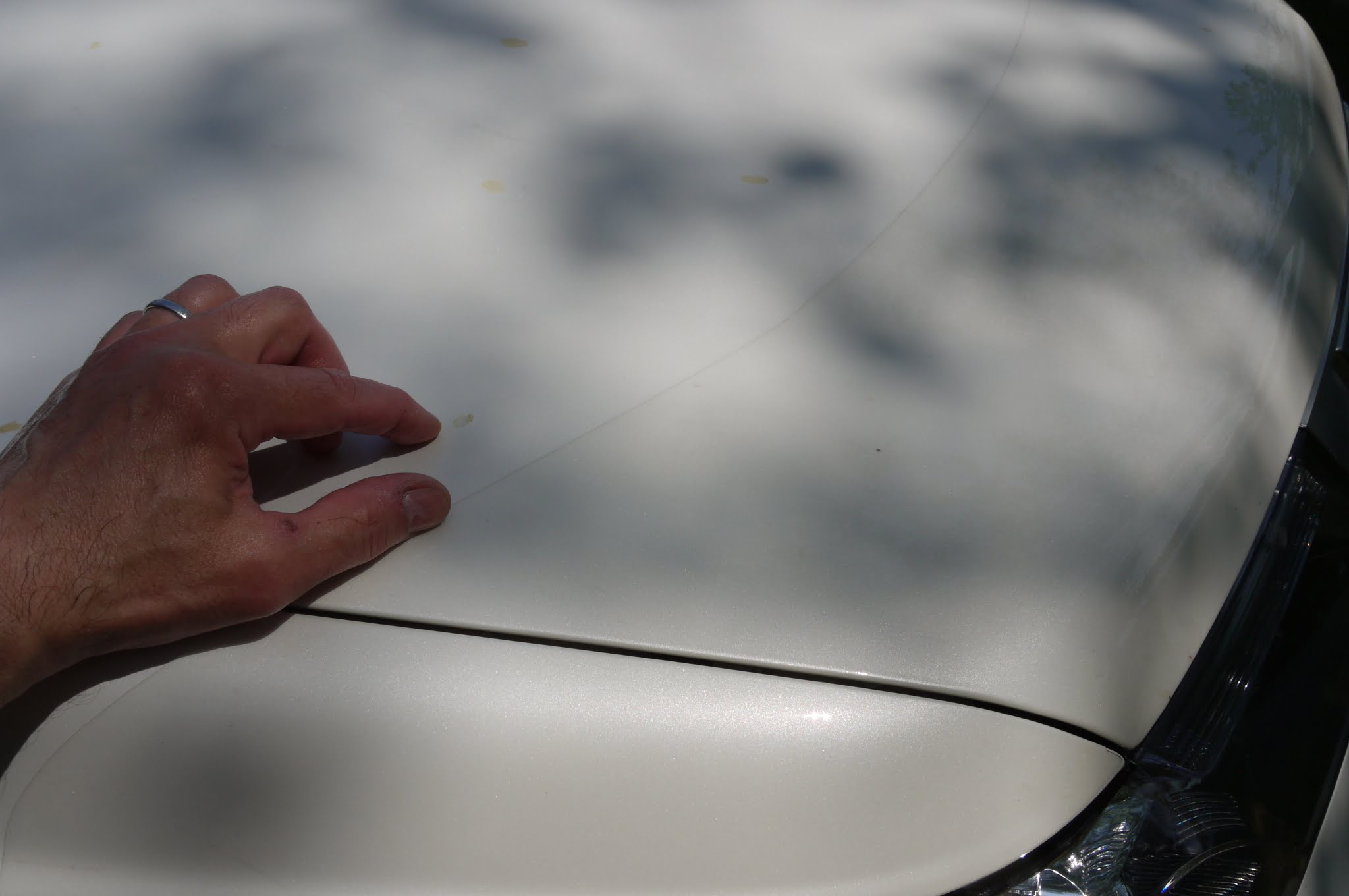 How Do I Remove Tree Sap From My Car? – Ask a Pro Blog