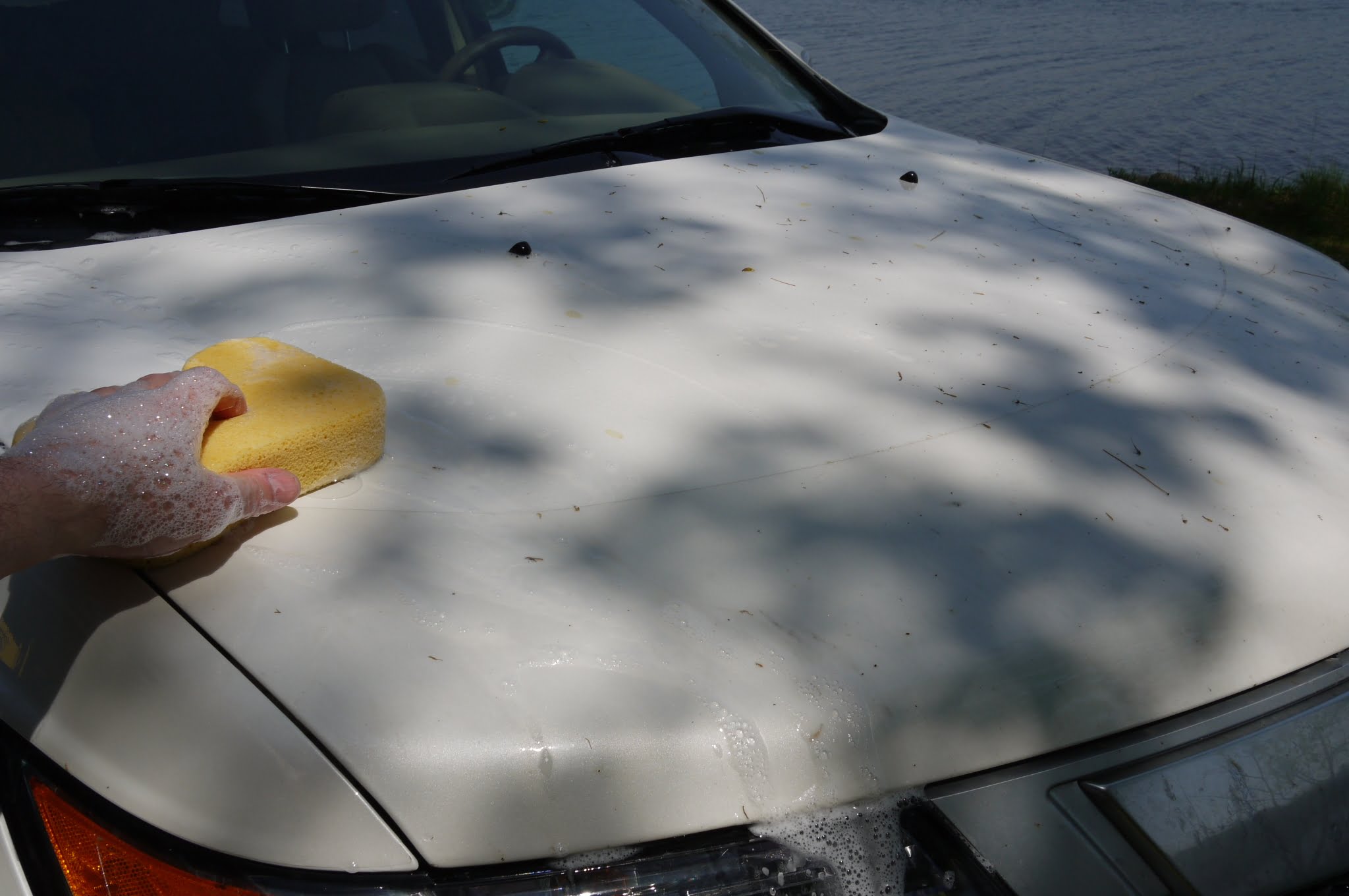 How to get tree sap off your car
