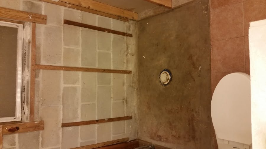 Wet and moldy basement shower remodel questions.